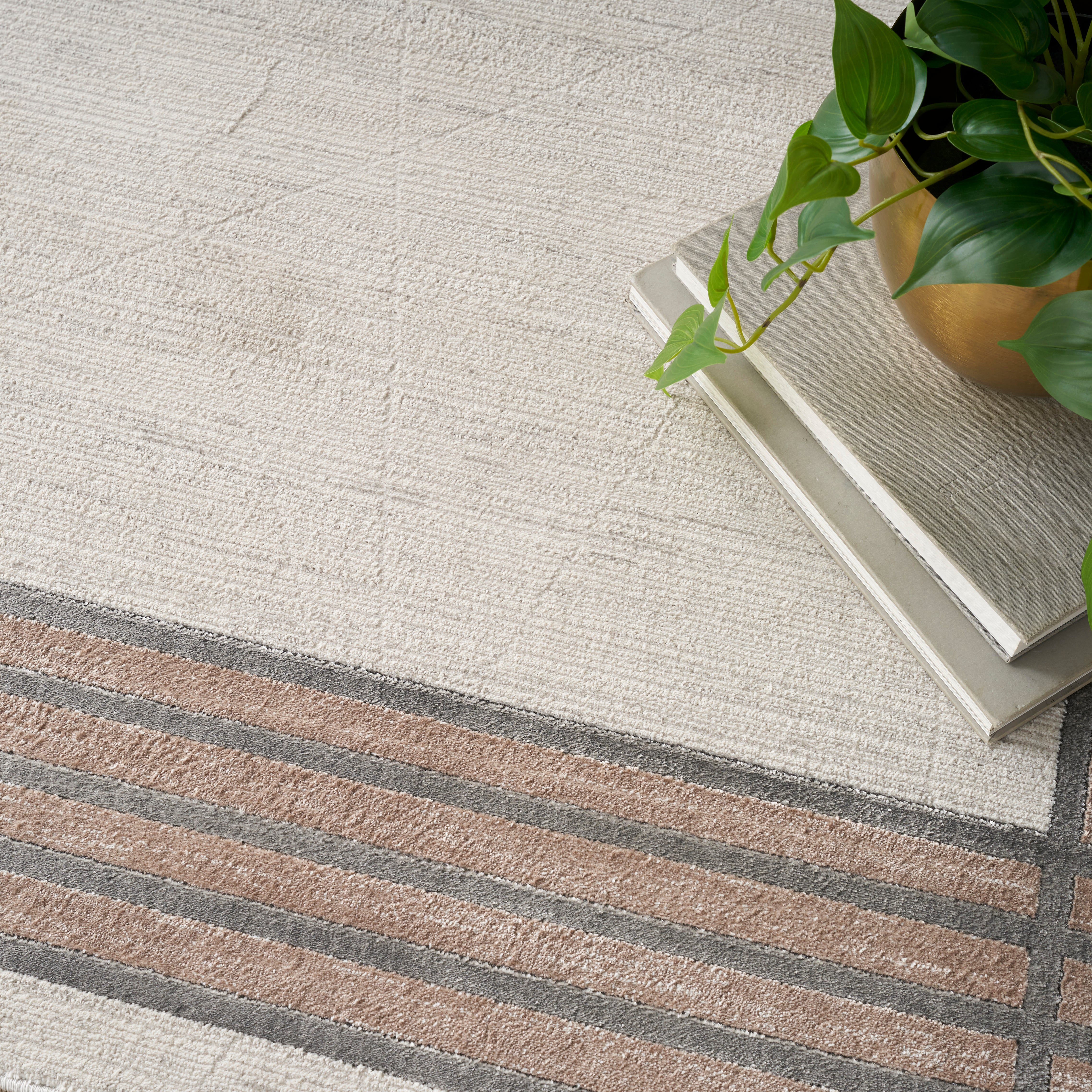 Nourison Desire DSR01 Ivory/Silver Brown Large Rectangle Rug